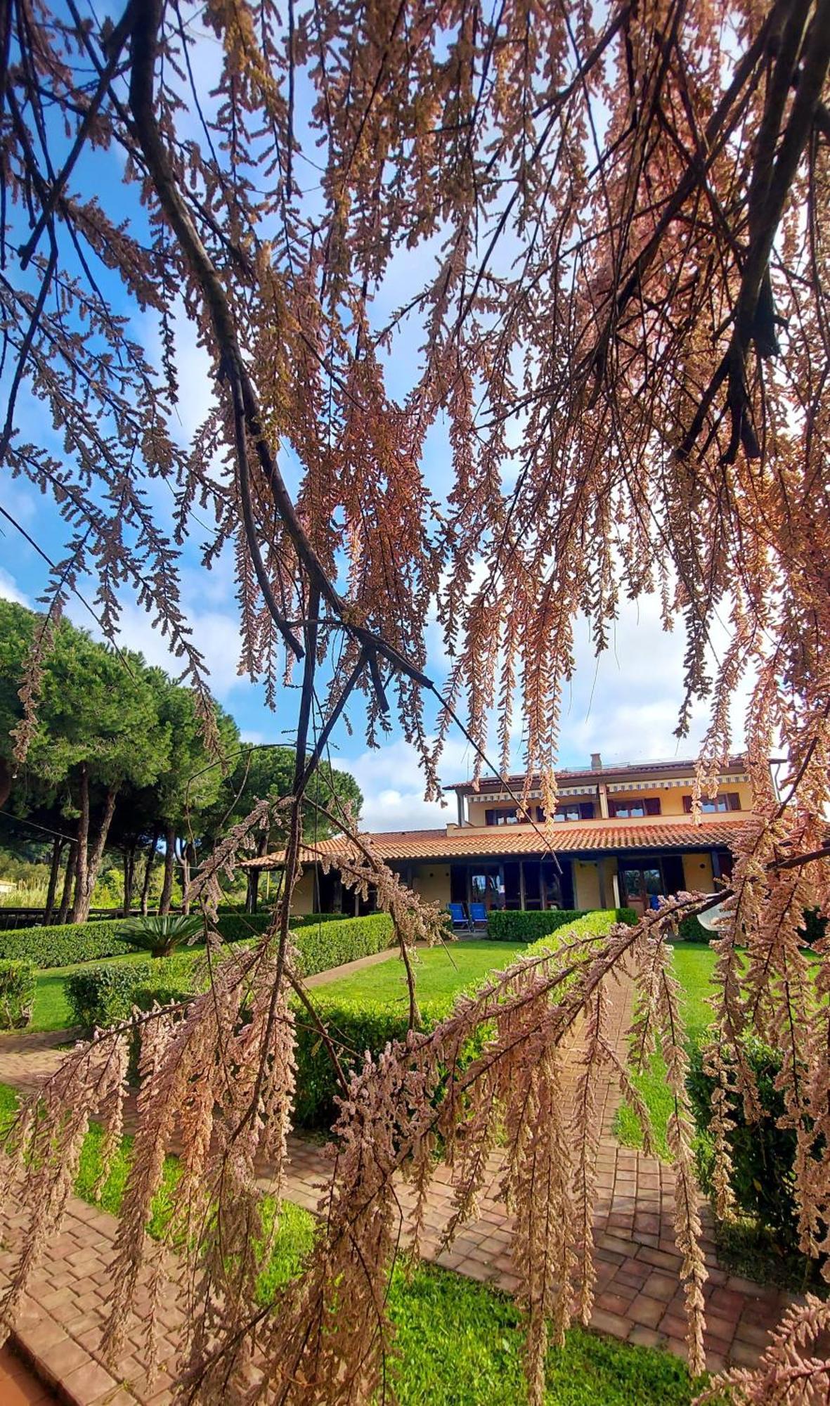 Lido Azzurro Residence Capoliveri (Isola d'Elba) Exterior foto